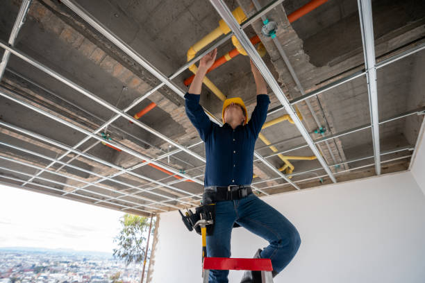 Best Pipe Repair Near Me  in Berrien Springs, MI
