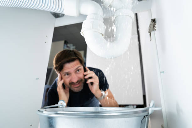 Best Leak Detection Services  in Berrien Springs, MI