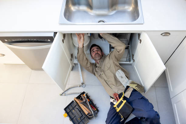 Best Commercial Plumbing Services  in Berrien Springs, MI