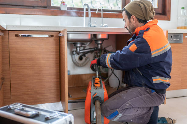 Best Affordable Plumbing Services  in Berrien Springs, MI