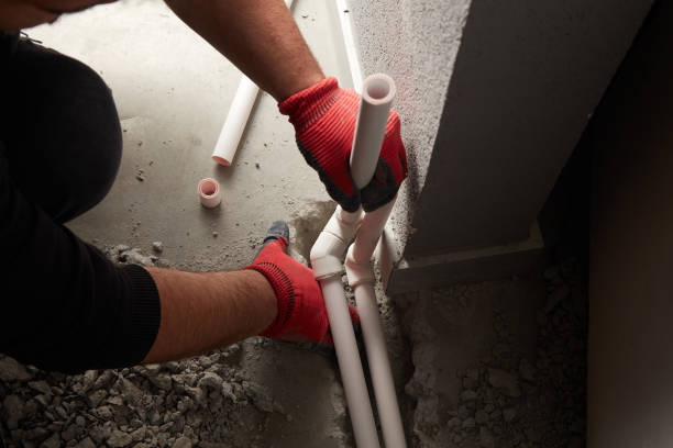Best Same-Day Plumbing Service  in Berrien Springs, MI