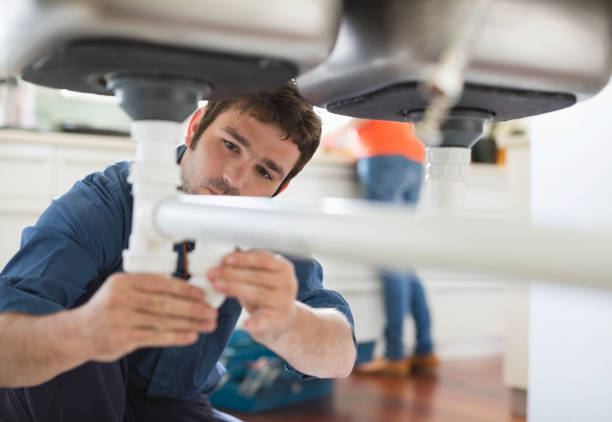 Best Best Plumbers Near Me  in Berrien Springs, MI