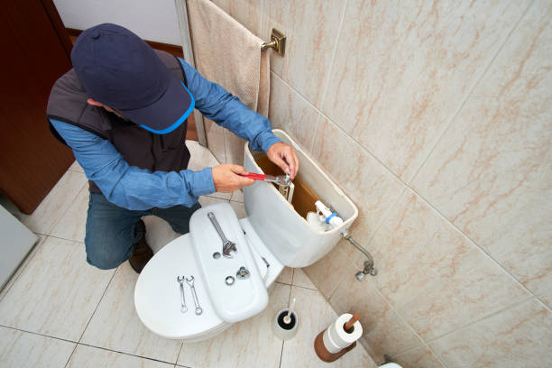 Best Septic Systems  in Berrien Springs, MI