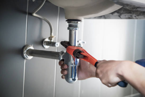 Best Clogged Drain Plumber  in Berrien Springs, MI